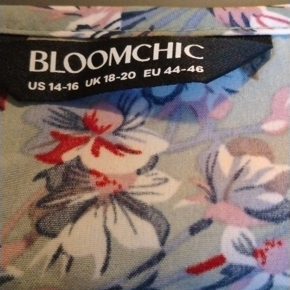 BloomChic Floral V-Neck Blouse in Blue and Pink - Picture 5 of 5